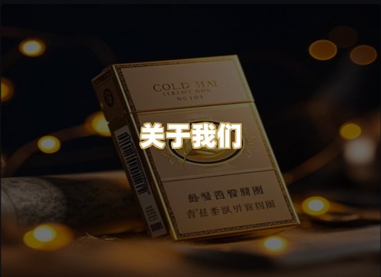 关于我们